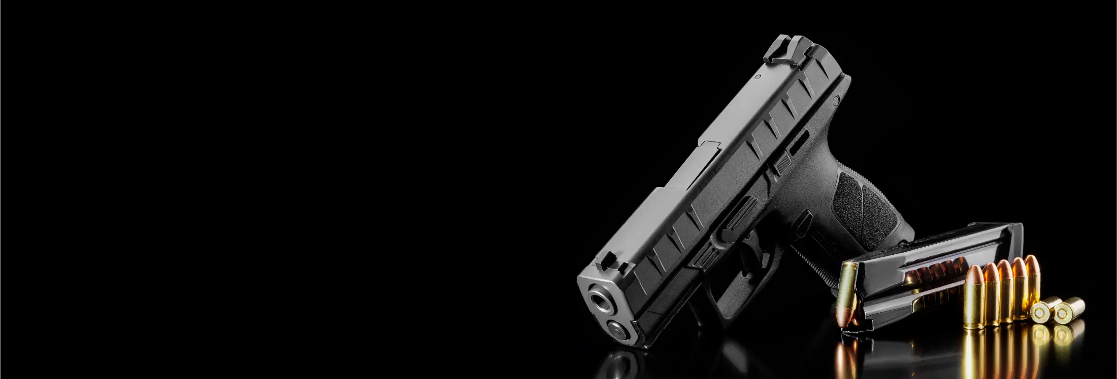 Gun and ammunition managed by Legacy logistics
