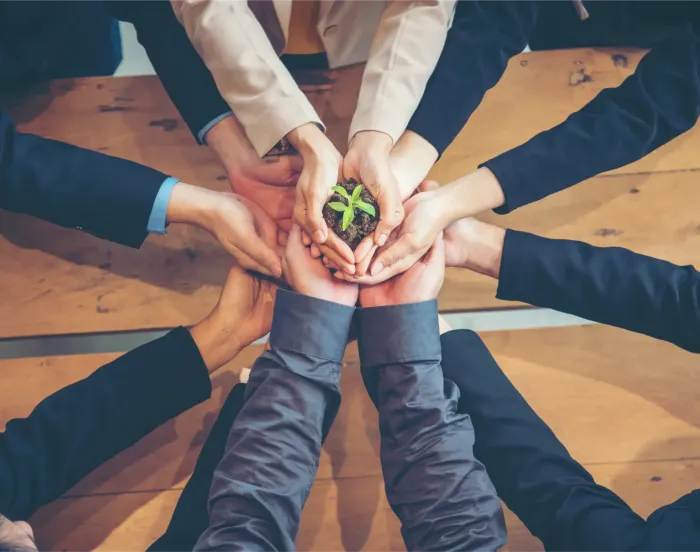 People putting hands together with plant in the middle 